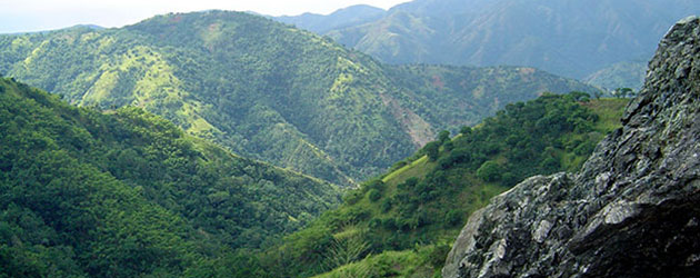 The Blue Mountains of Jamaica